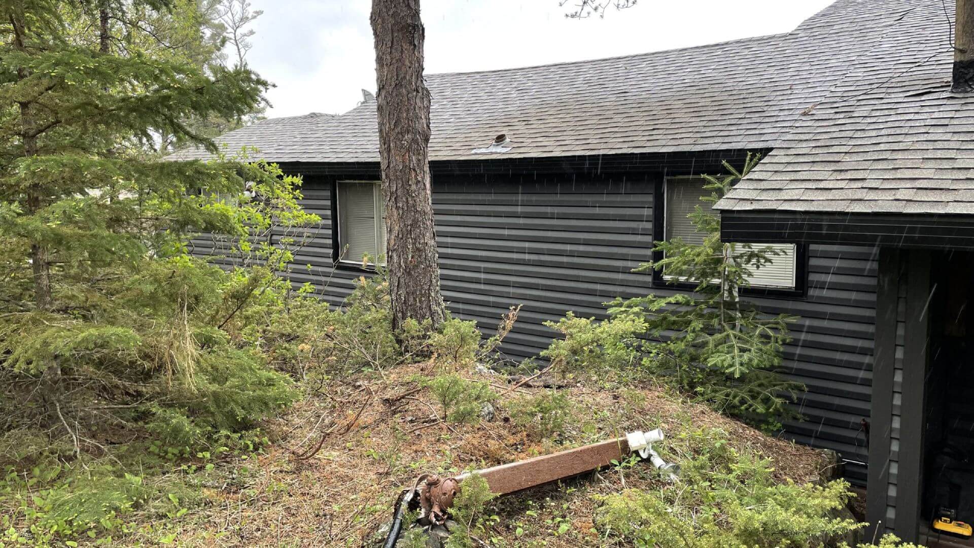 New siding west Hawk